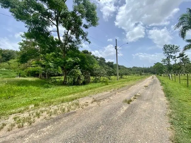 PR 155 Ramal 646, Vega Baja, PR 00693 - #3