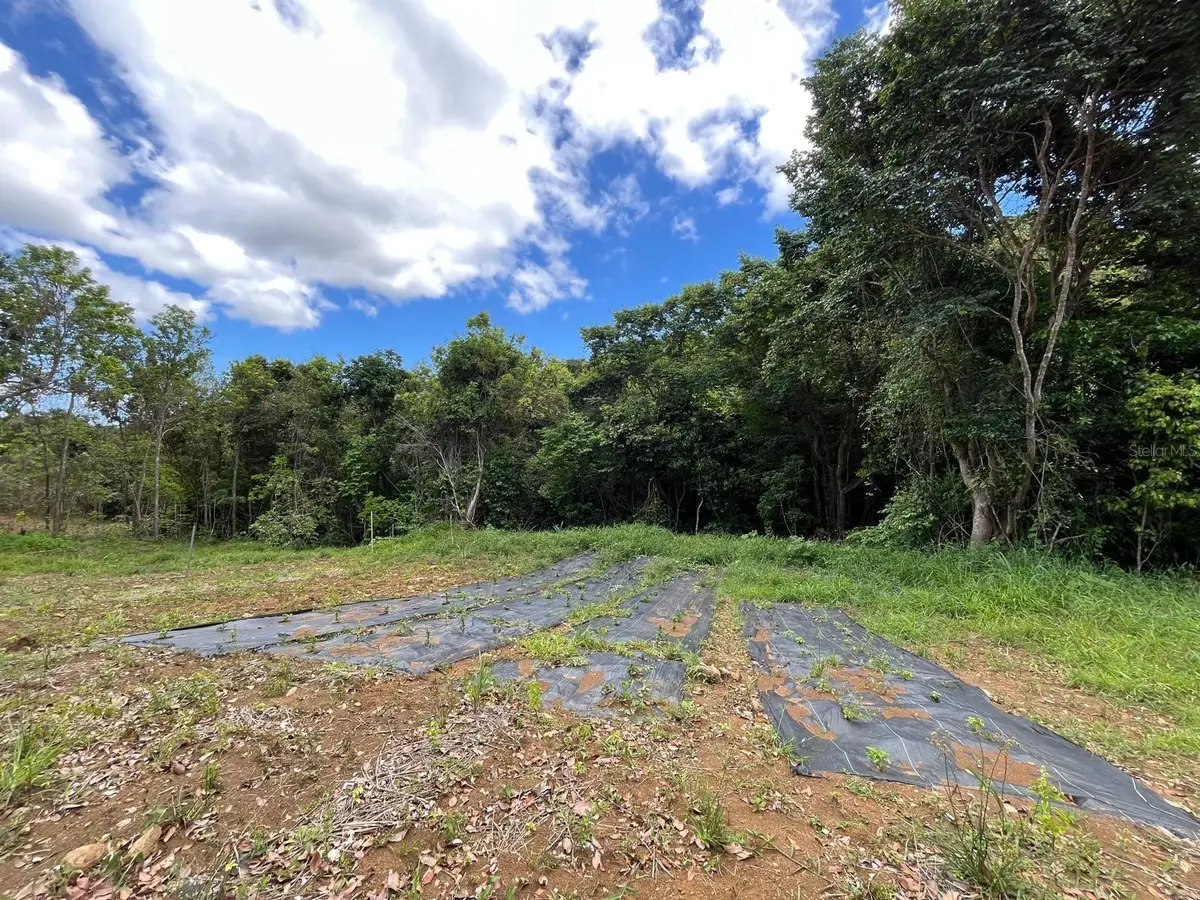 LOT 5 Km 2.5 Carretera 856, Carolina, PR 00987 - #1