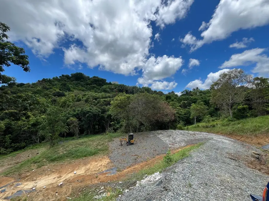 LOT 5 Km 2.5 Carretera 856, Carolina, PR 00987 - #3