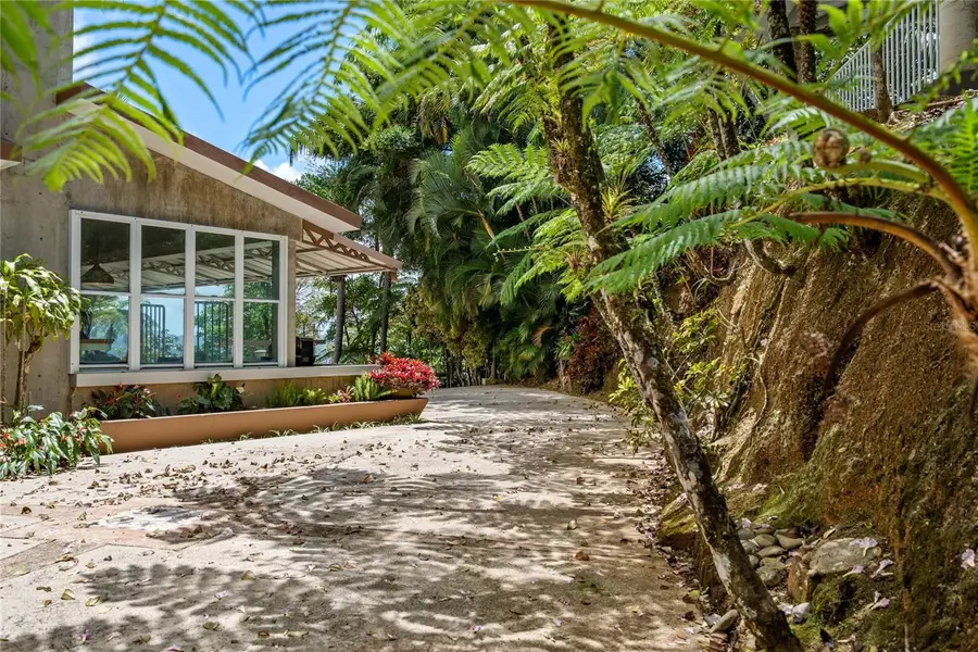 PR-184 Guavate, Cayey, PR 00736 - #3