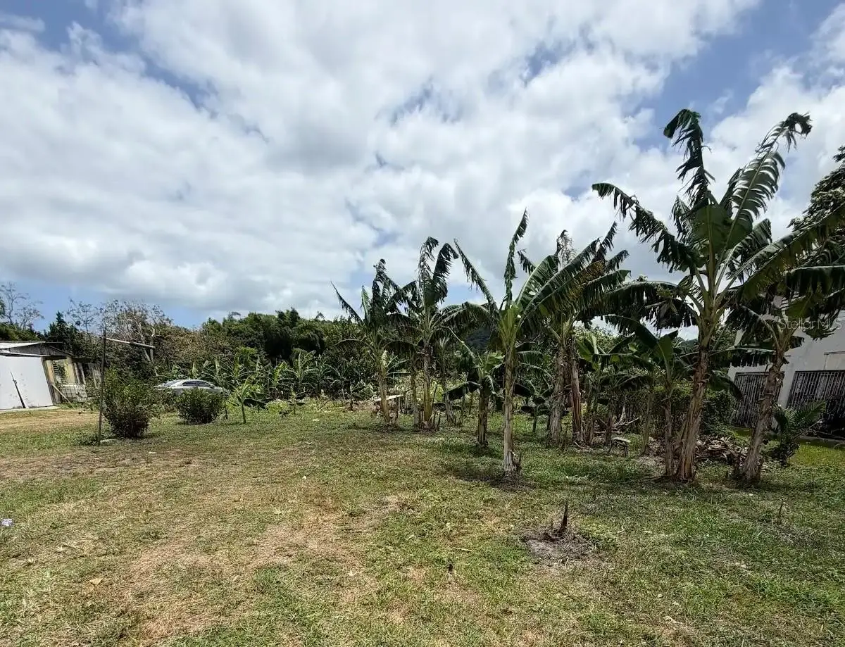 Bo. Limones, Yabucoa, PR 00767 - #1