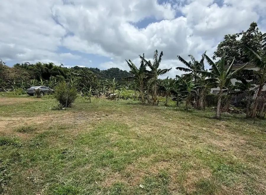 Bo. Limones, Yabucoa, PR 00767 - #3