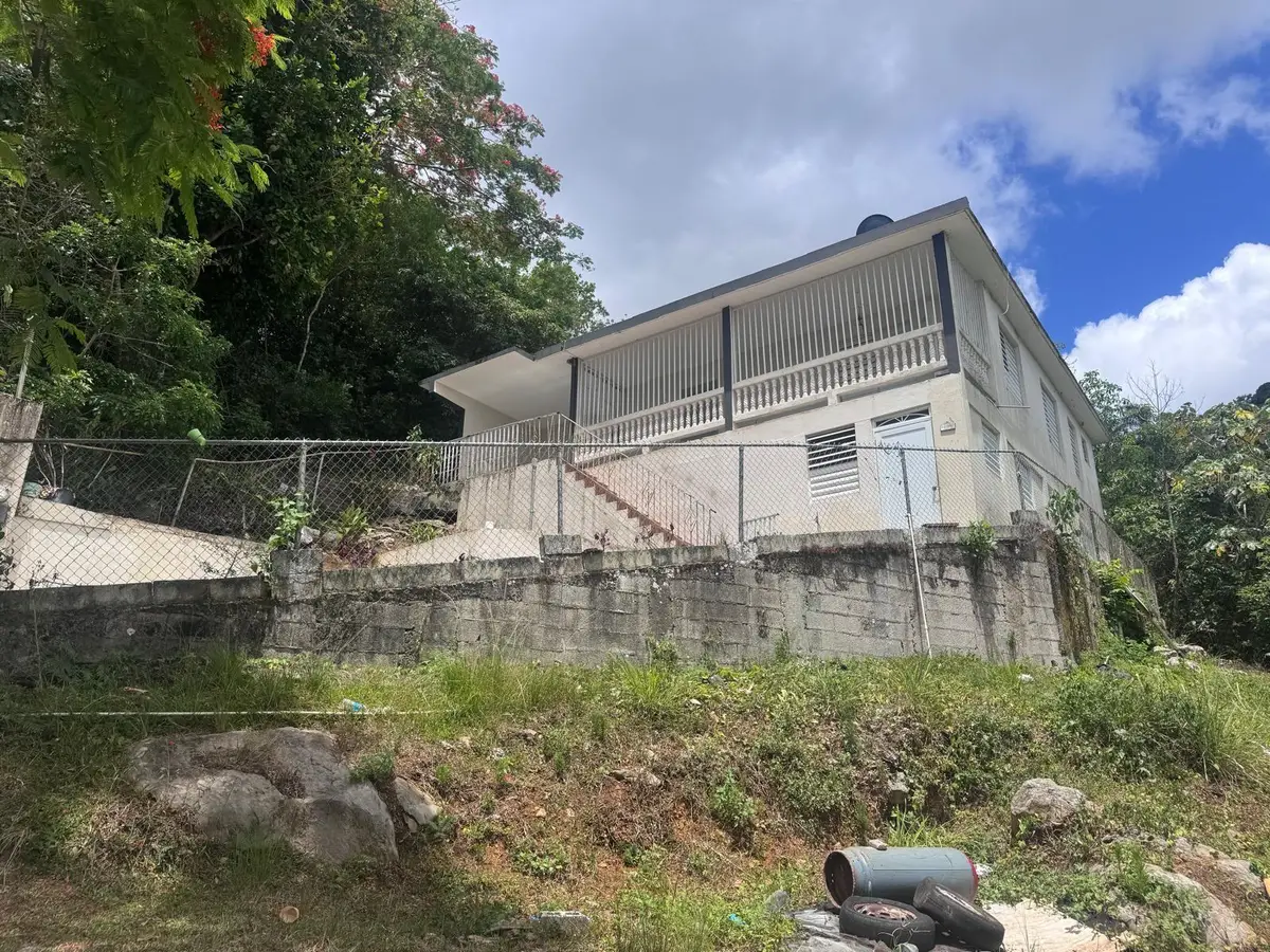 62.2 KM. CARR#1 Bo Pedro Davila, Cayey, PR 00736 - #1