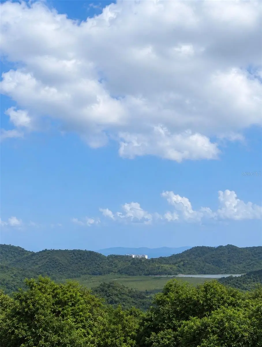 Fincas De Naranjo, Fajardo, PR 00738 - #1