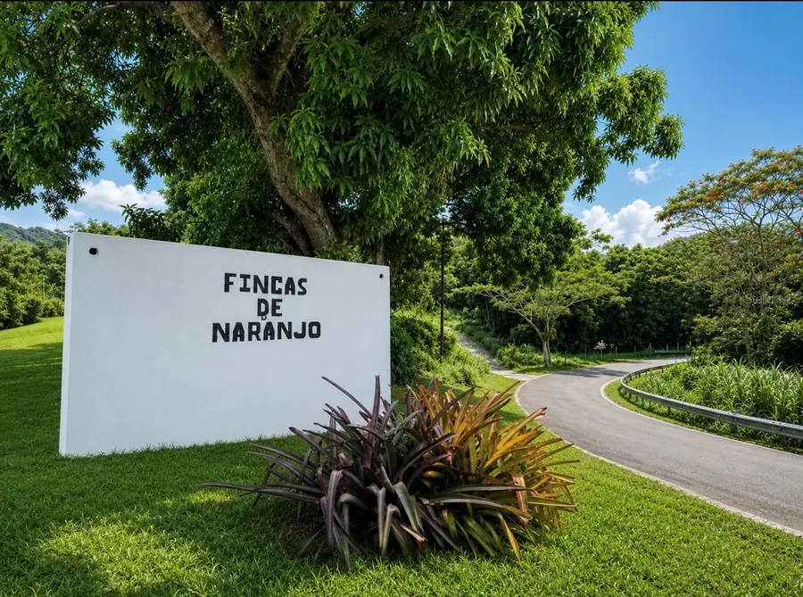 Fincas De Naranjo, Fajardo, PR 00738 - #2