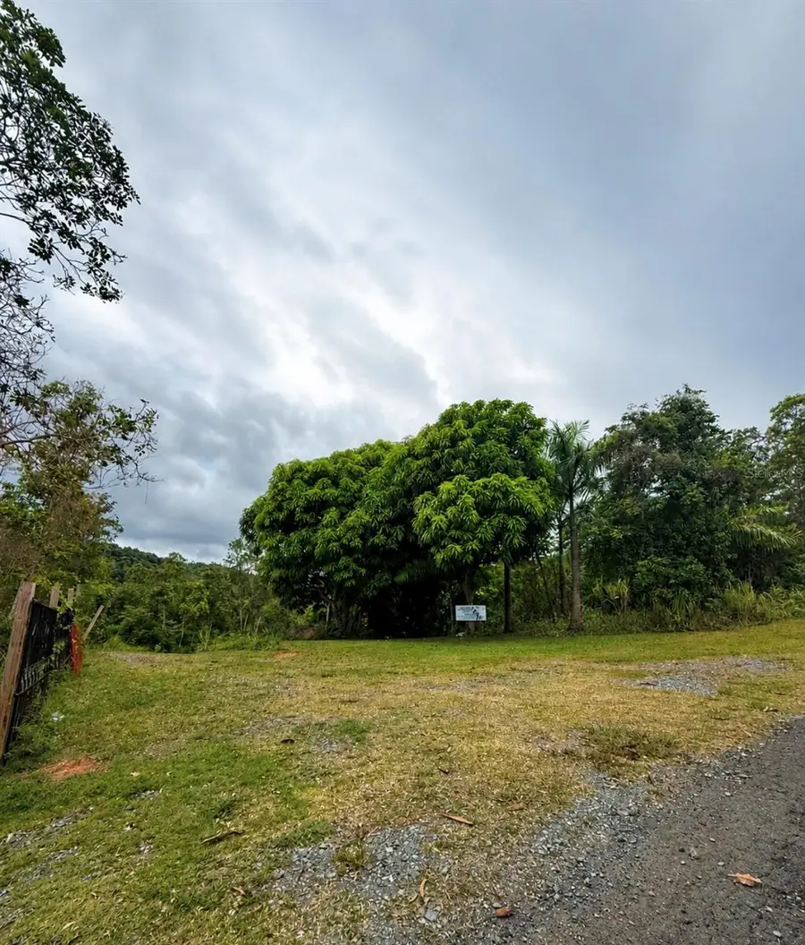 Fincas De Naranjo, Fajardo, PR 00738 - #3
