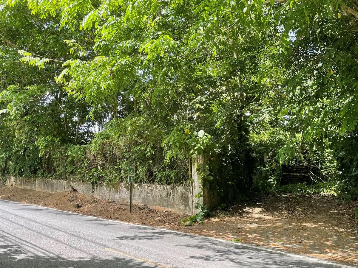 PR 176 Km6.6 Cupey Alto, San Juan, PR 00926 - #1