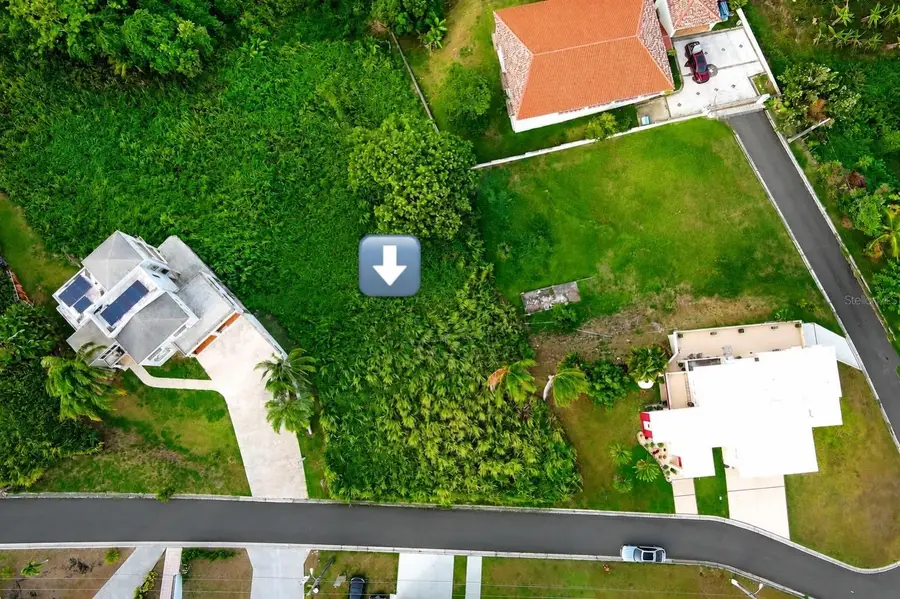 Anton Ruiz, Humacao, PR 00791 - #3