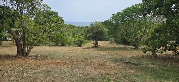 Camino Nuevo, YABUCOA, PR 00767