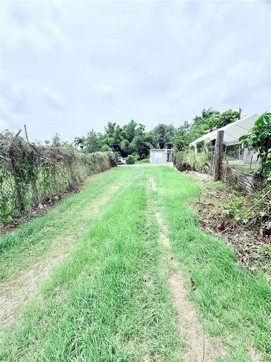 Km 0.9 Route 759, Maunabo, PR 00707 - #1