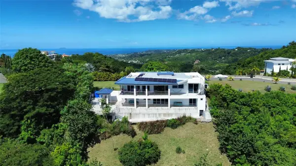 Lot 3 Palatine Hill, RINCON, PR 00677