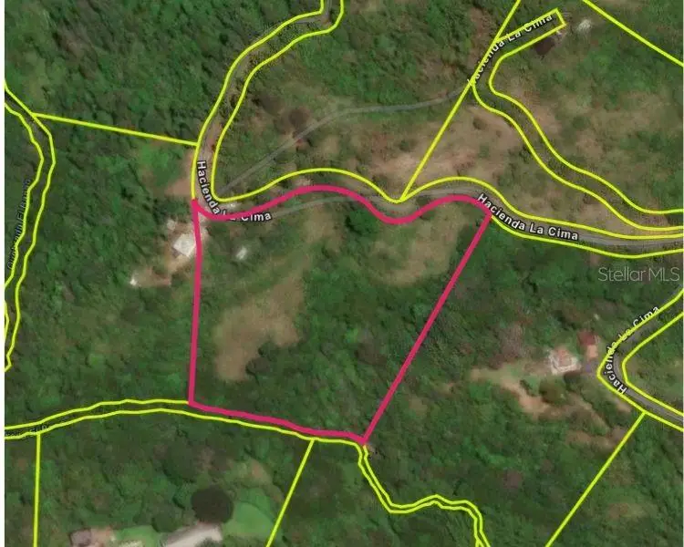 Hacienda De Cidra, Rabanal Parcela #32, Cidra, PR 00739 - #2