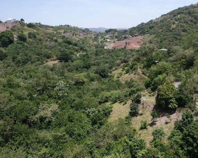Hacienda De Cidra, Rabanal Parcela #32, Cidra, PR 00739 - #3
