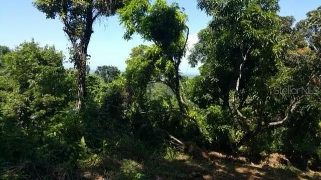 Bo Jimenez Carr 966 Km 2.8 Int, Rio Grande, PR 00745 - #2