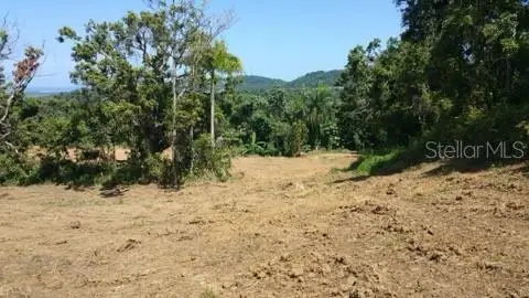 Bo Jimenez Carr 966 Km 2.8 Int, Rio Grande, PR 00745 - #3