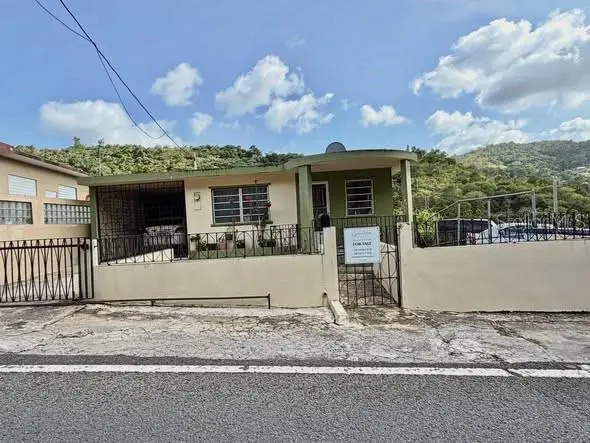156 Km 0.7 Pueblo, OROCOVIS, PR 00720