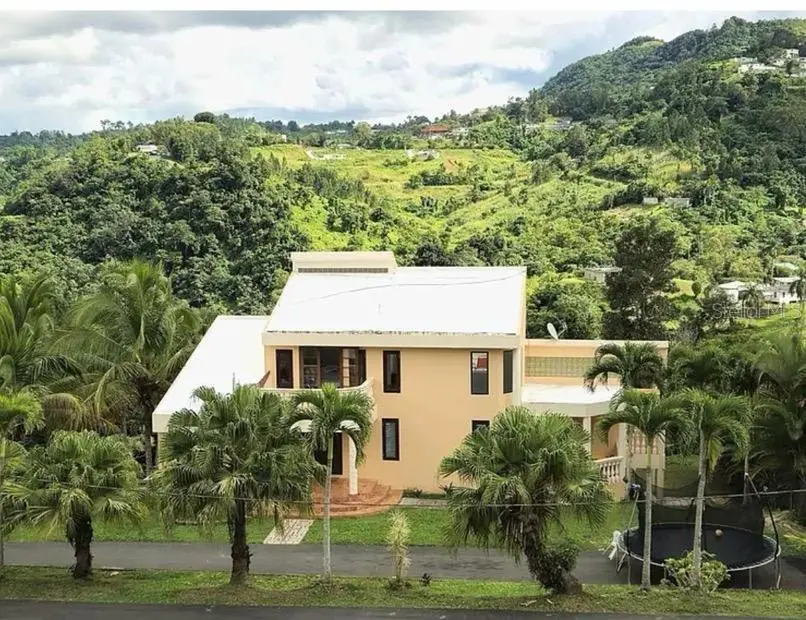 770 Route #Km 2.9, Barranquitas, PR 00794 - #3