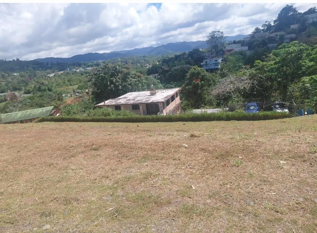PR 1 Km 48.1 Bo Beatriz, Caguas, PR 00725 - #1