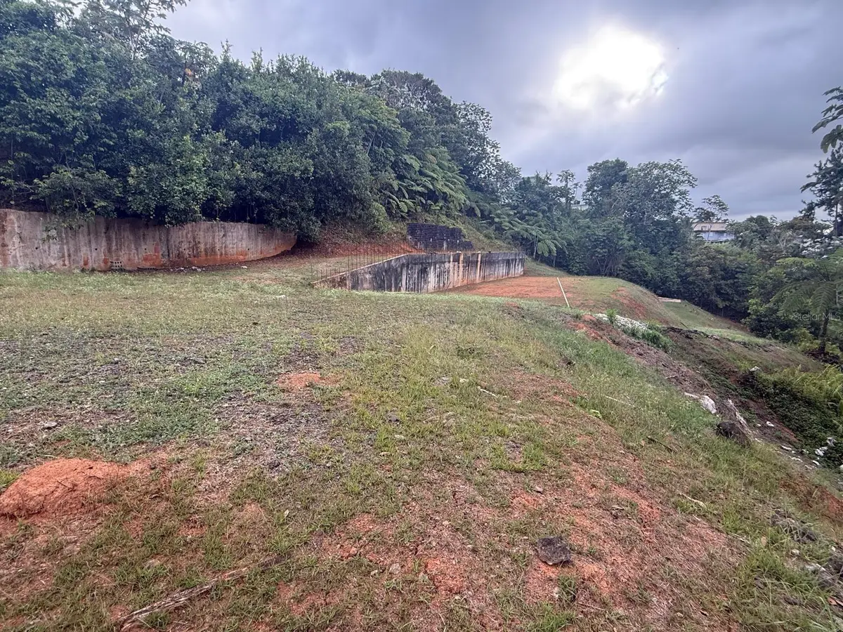 Bo Cedro Arriba Carr 809, Km 2 Hm 2 Interior, Nar, Naranjito, PR 00719 - #1