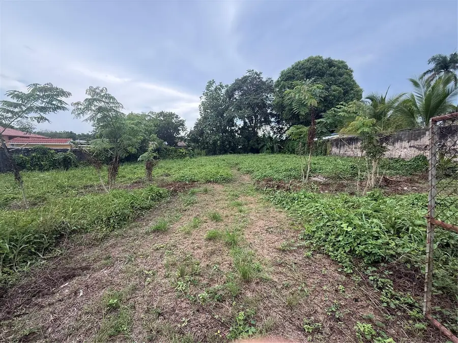 BO PUEBLO 11 Calle Hostos, San Sebastian, PR 00685 - #3