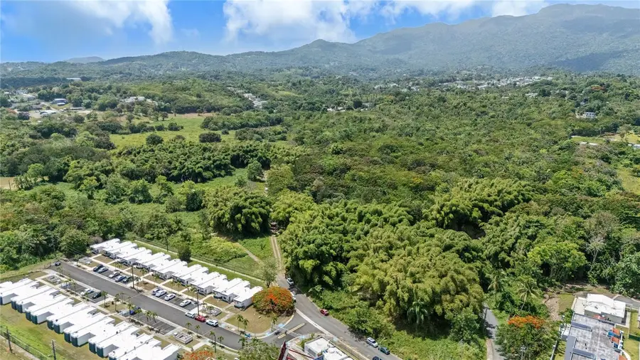 956 Guzman Abajo, Rio Grande, PR 00745 - #2