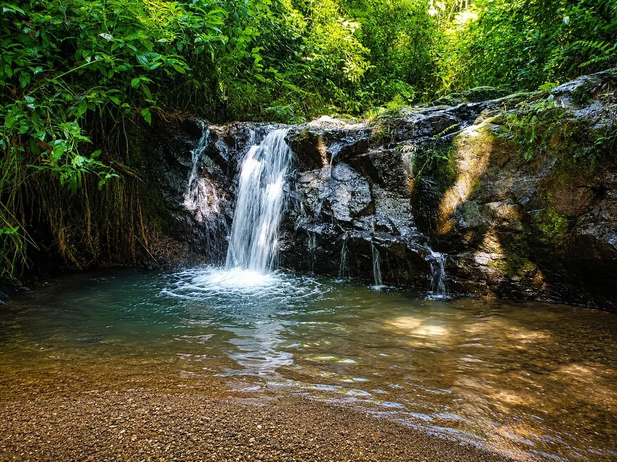 BO. FRONTON Carr 146 Km 18.6, Ciales, PR 00638 - #1