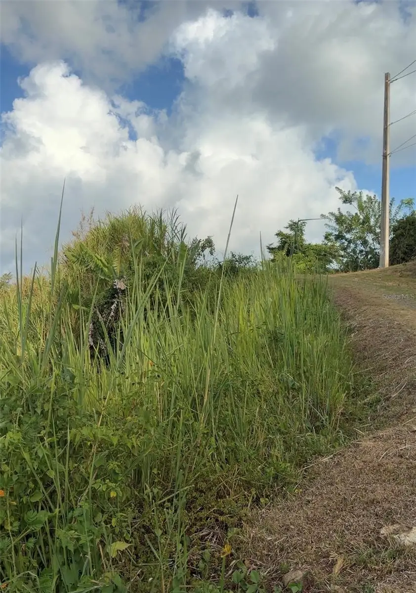 Pr 785 Km 2.0 #4, Caguas, PR 00727 - #3
