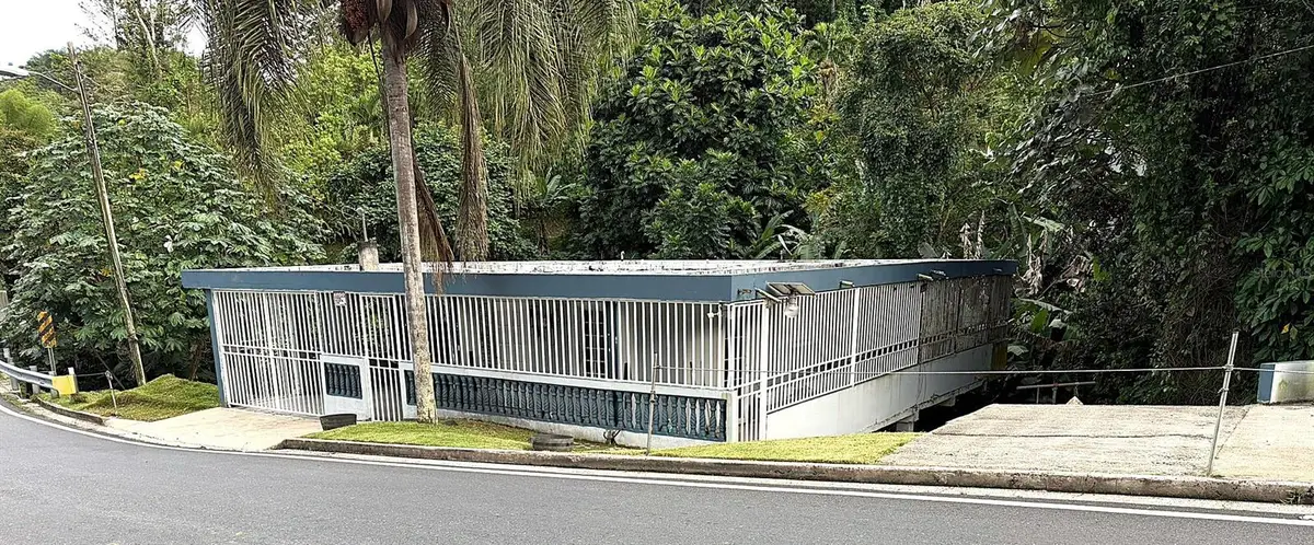 PR 156 Mulas Ward, Aguas Buenas, PR 00703 - #1