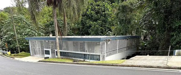 PR 156 Mulas Ward, AGUAS BUENAS, PR 00703