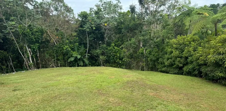 Address Withheld By Seller, Bayamon, PR 00956 - #3