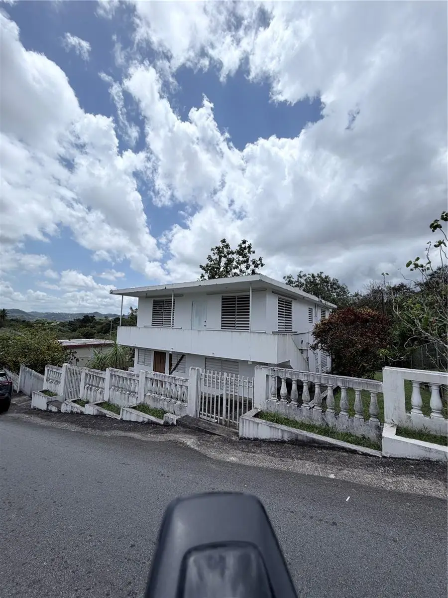 916 Km 3.7, San Lorenzo, PR 00754 - #3