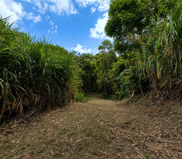 PR-982 Km 2.3, FAJARDO, PR 00738