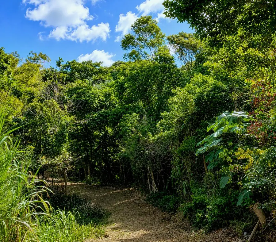 PR-982 Km 2.3, Fajardo, PR 00738 - #2