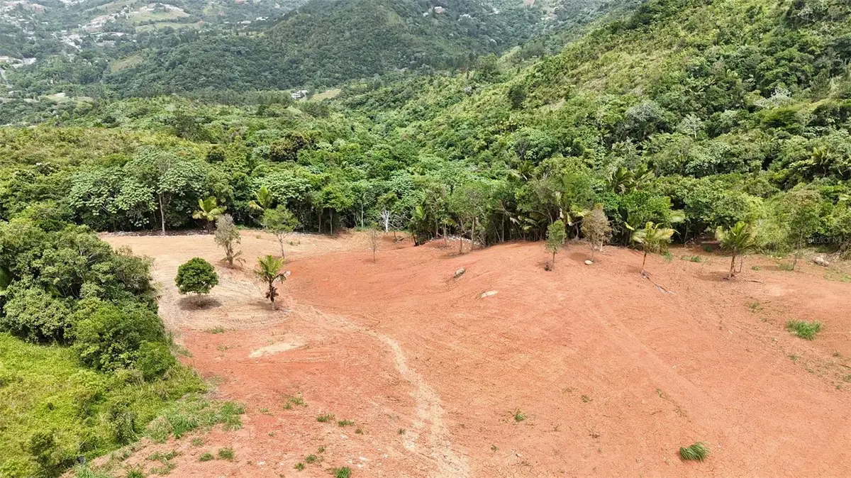 PR 770 KM 2.9 PARCELA 3 Palo Hincado, Barranquitas, PR 00794 - #1