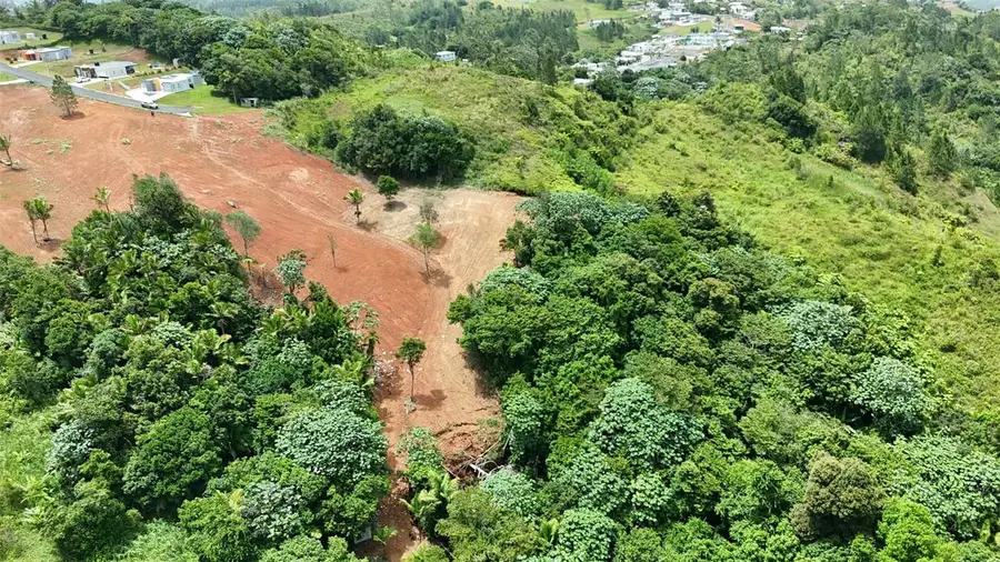 PR 770 KM 2.9 PARCELA 3 Palo Hincado, Barranquitas, PR 00794 - #2