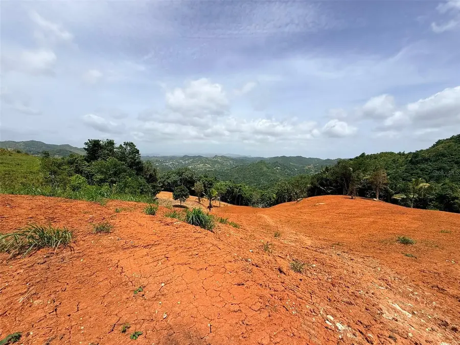 PR 770 KM 2.9 PARCELA 3 Palo Hincado, Barranquitas, PR 00794 - #3