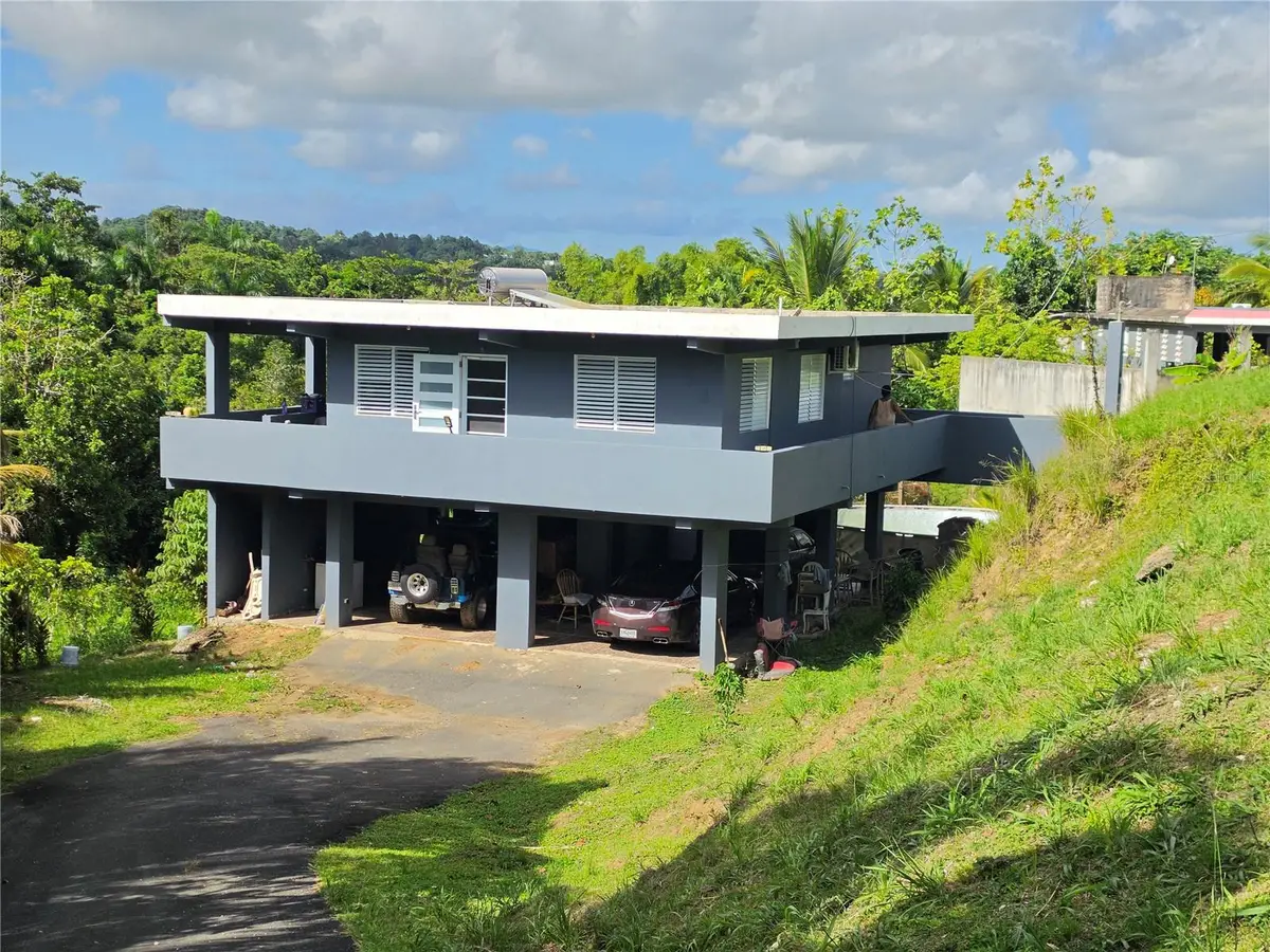PR 900 Bo Guayabota, Yabucoa, PR 00767 - #1