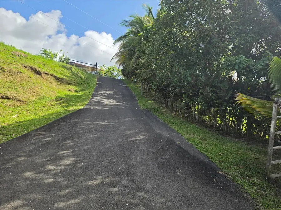PR 900 Bo Guayabota, Yabucoa, PR 00767 - #2