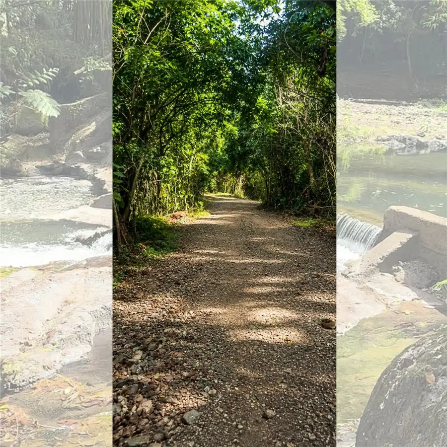 SOLAR 37 Bo Fronton, Ciales, PR 00638 - #3