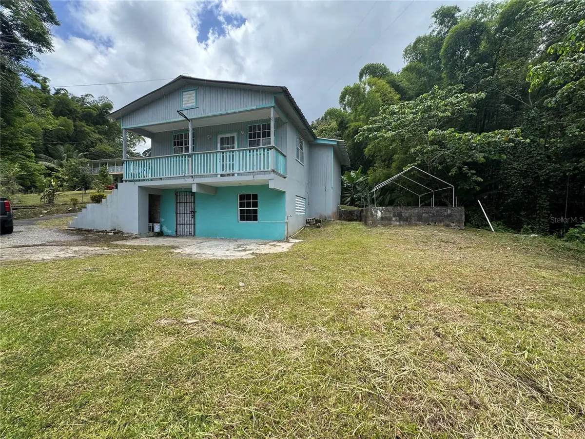 131 Guilarte, Adjuntas, PR 00601 - #1