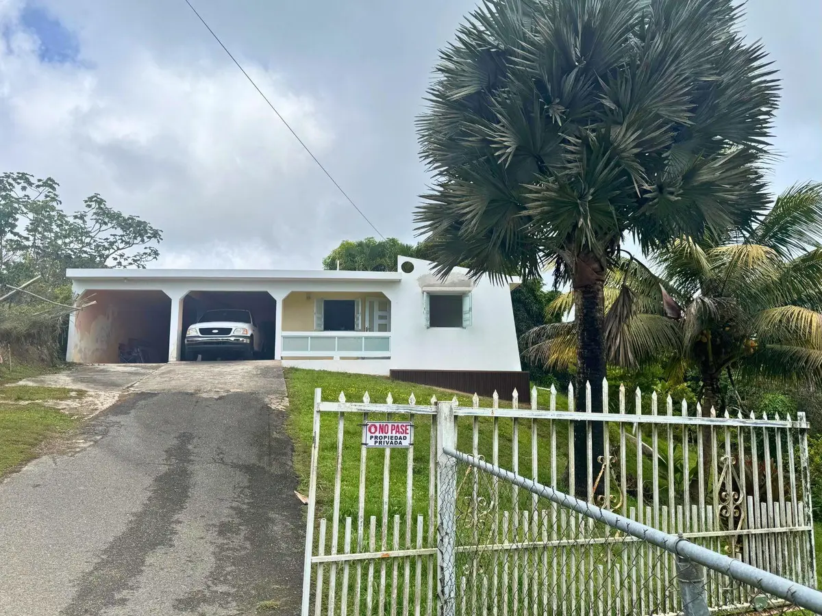BO MONTONES Carr 917, Las Piedras, PR 00771 - #1