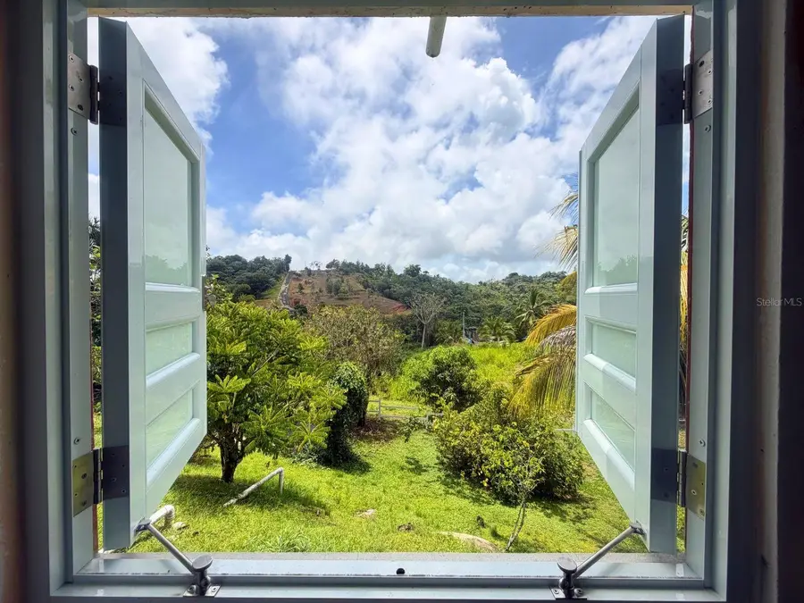 BO MONTONES Carr 917, Las Piedras, PR 00771 - #2