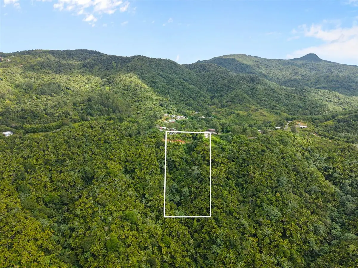 Carr 149 Finca Villa Azul, Juana Diaz, PR 00795 - #1