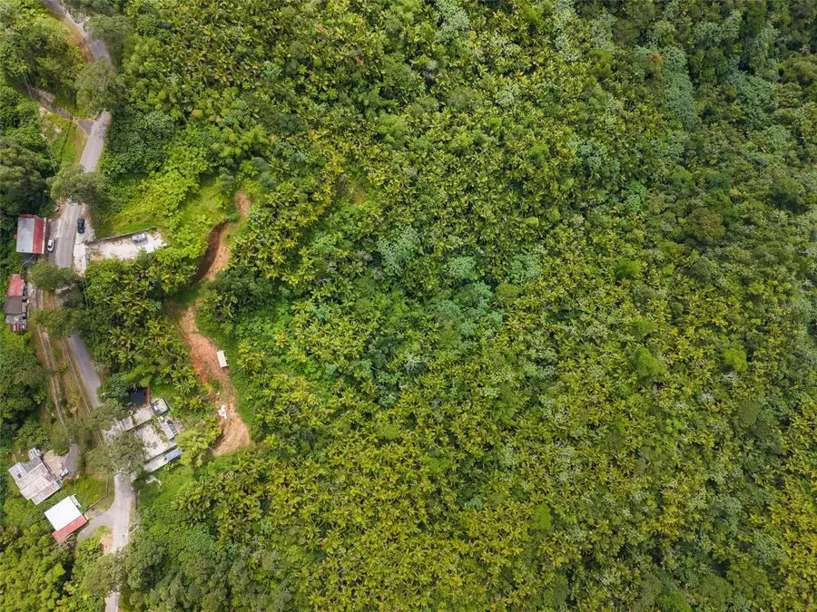 Carr 149 Finca Villa Azul, Juana Diaz, PR 00795 - #3