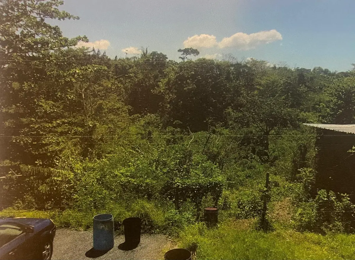 BO Jaguitas Pr 343 Km 3.5 Int, Hormigueros, PR 00660 - #1