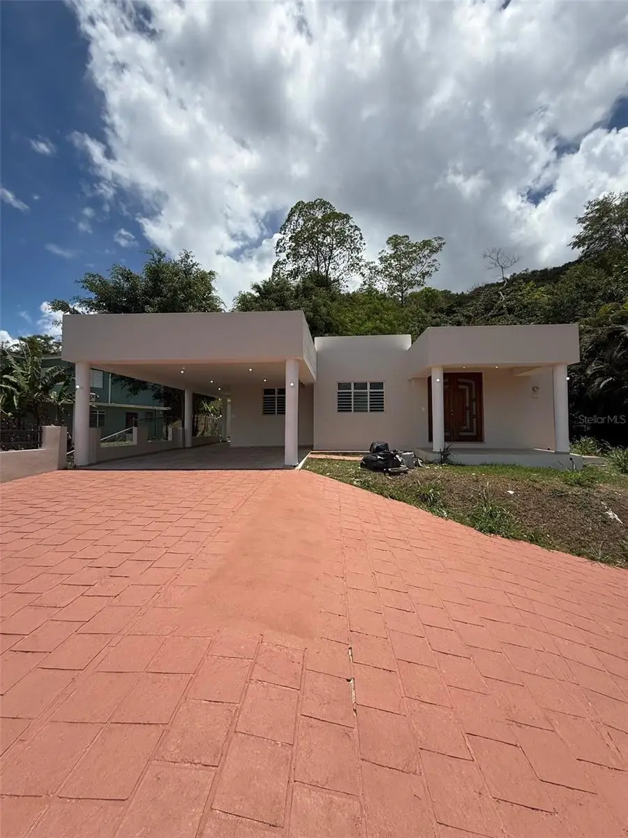 796 Bairoa, Caguas, PR 00725 - #1