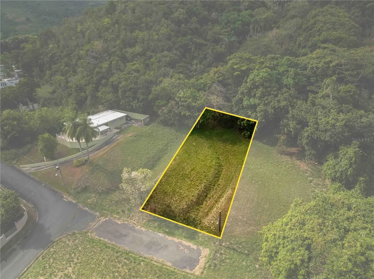 98 Naranjo Valley, Calle 4, Fajardo, PR 00738 - #1