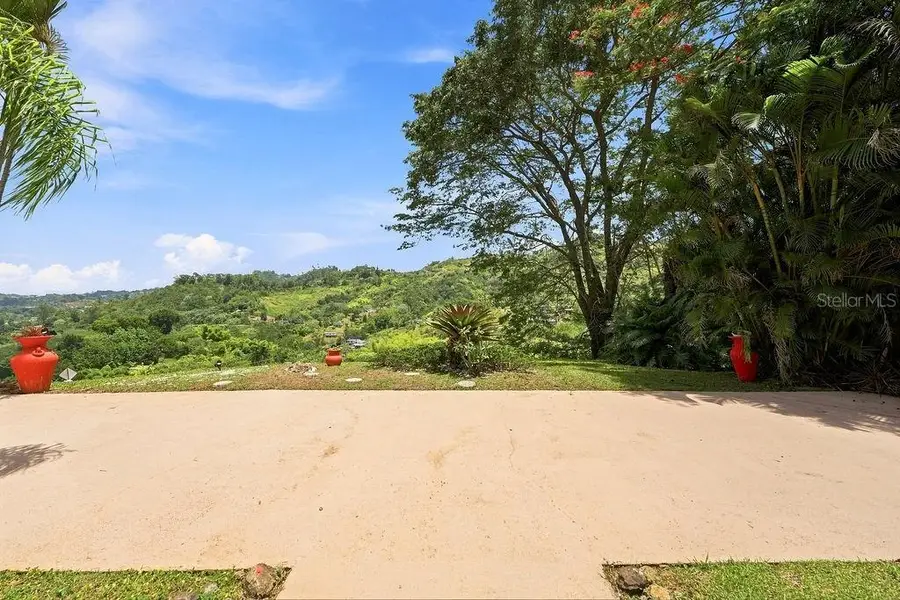 Barrio Mana Carr 802 Km 3.6 Mana Ward, Corozal, PR 00783 - #3
