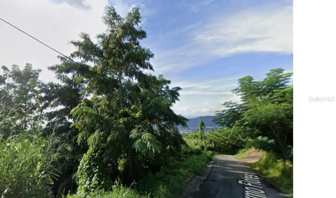 Rd 942, Gurabo, PR 00778 - #1