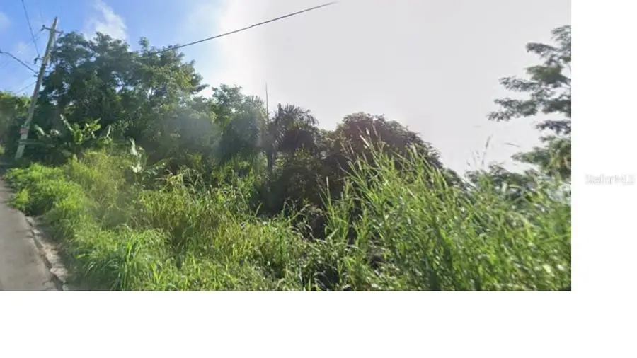 Rd 942, Gurabo, PR 00778 - #2